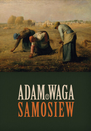 Nagroda im. Twardowskiego dla Adama Wagi