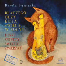 Okładka książki: Dlaczego oczy kota świecą w nocy?