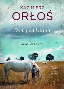 Okładka książki: Dom pod Lutnią
